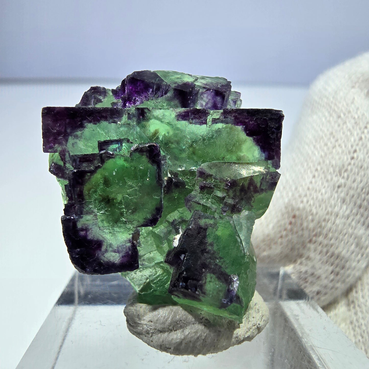 Spécimen rare de cube de fluorite fantôme zonal vert violet Okorusu, Namibie 29*25*16mm 