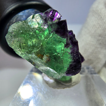 Spécimen rare de cube de fluorite fantôme zonal vert violet Okorusu, Namibie 29*25*16mm 