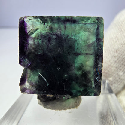 Spécimen rare de cube de fluorite fantôme, vert zonal et violet, Okorusu, Namibie, 24 x 23 x 11 mm 