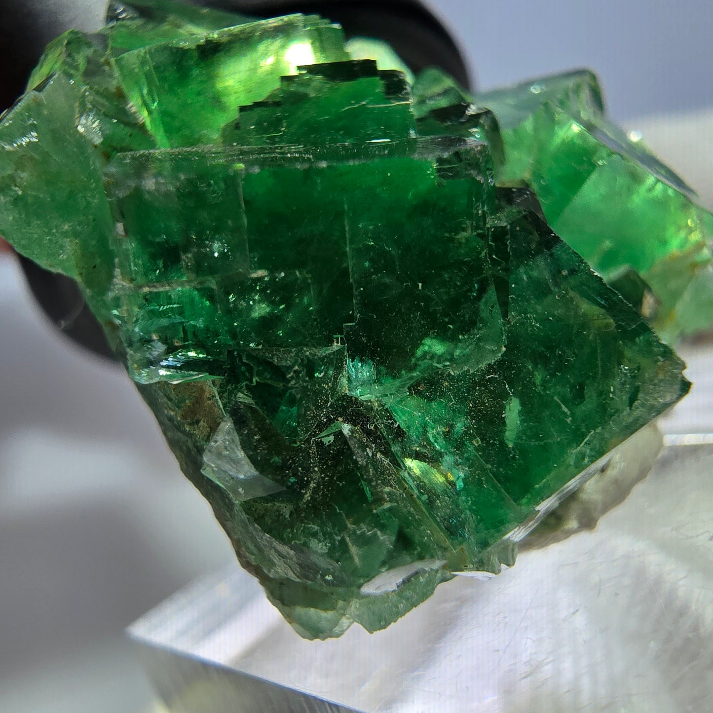 Rare spécimen de cube de fluorite fantôme, parqueté, vert Okorusu, Namibie 36*32*16 mm 