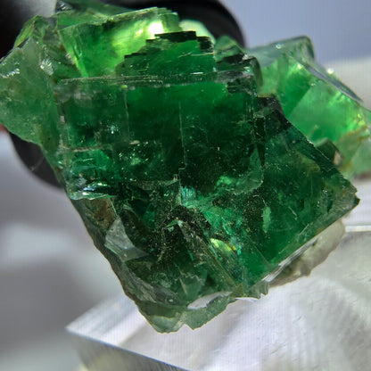 Rare spécimen de cube de fluorite fantôme, parqueté, vert Okorusu, Namibie 36*32*16 mm 