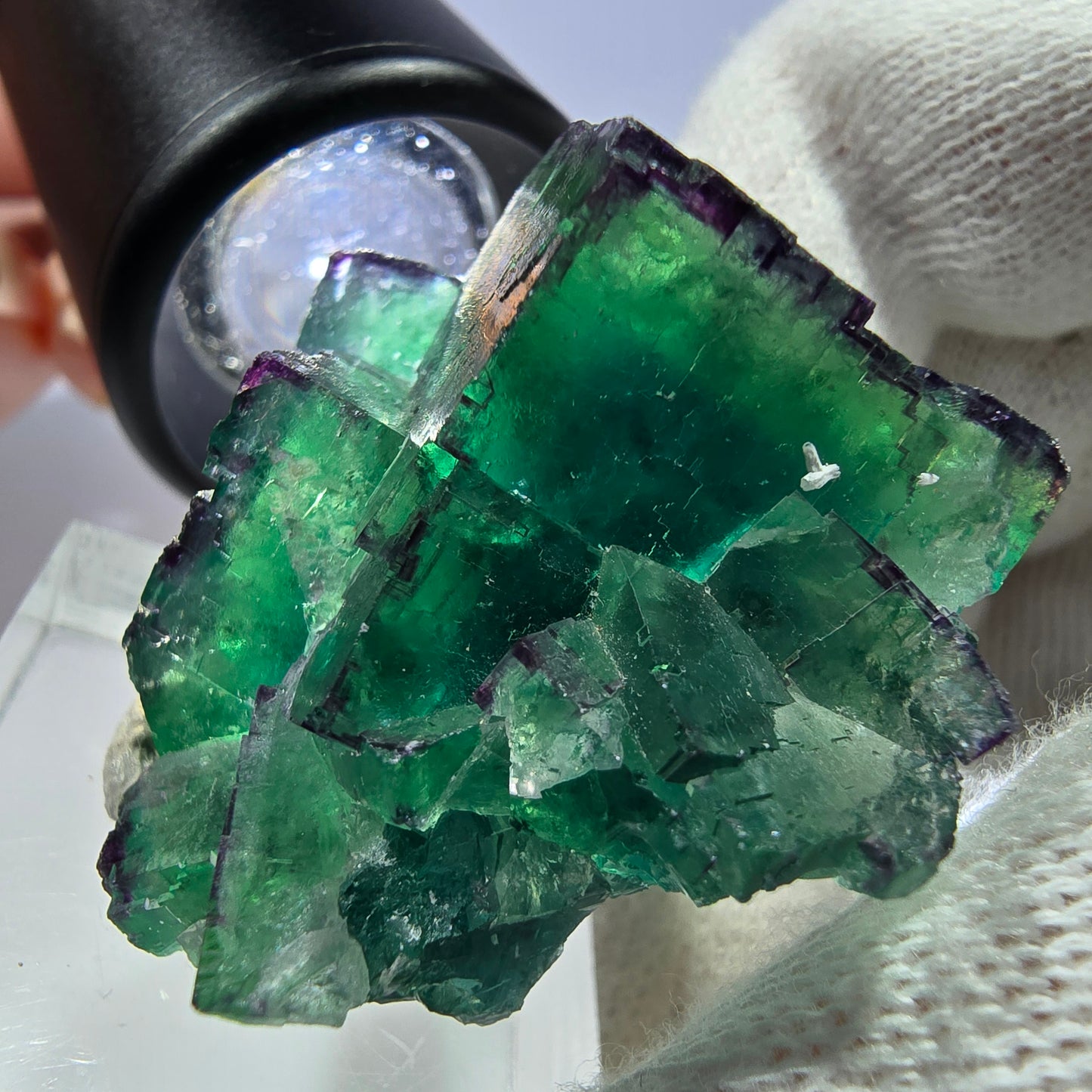 Spécimen rare de cube de fluorite fantôme, vert zonal et violet, Okorusu, Namibie, 39 x 34 x 19 mm 