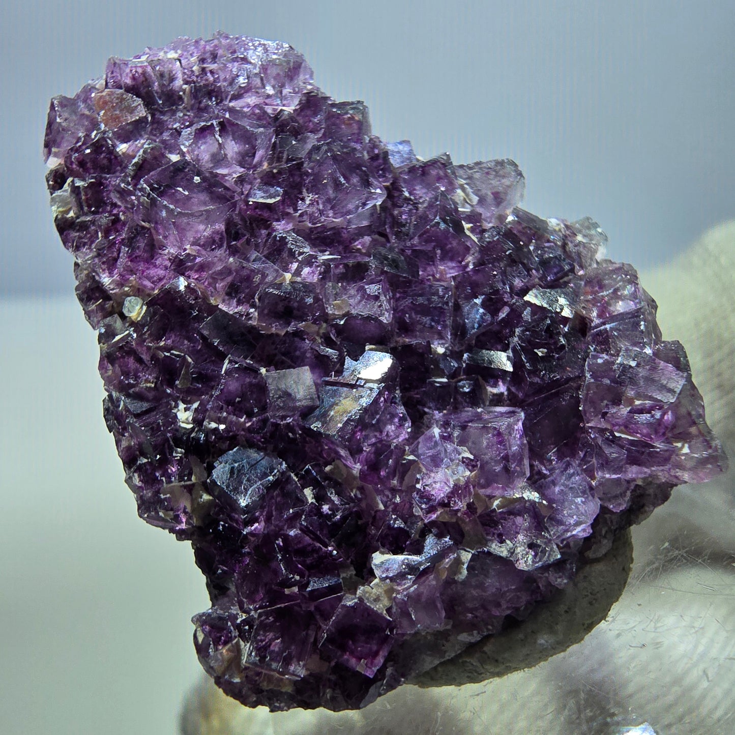 Rare spécimen de cube de fluorite fantôme, violet Okorusu, Namibie 34 x 26 x 10 mm 