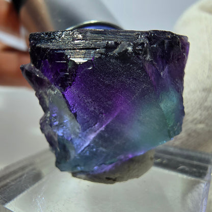 Rare cube de fluorite fantôme, vert violet zonal Okorusu, Namibie 24 x 20 x 20 mm 