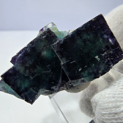 Rare spécimen de cube de fluorite fantôme, vert-violet zonal, Okorusu, Namibie, 39 x 24 x 16 mm 