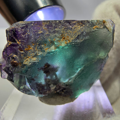 Spécimen rare de cube de fluorite fantôme, vert zonal et violet, Okorusu, Namibie, 30 x 21 x 17 mm 