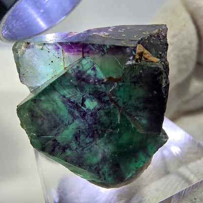 Spécimen rare de cube de fluorite fantôme, vert zonal et violet, Okorusu, Namibie, 30 x 21 x 17 mm 