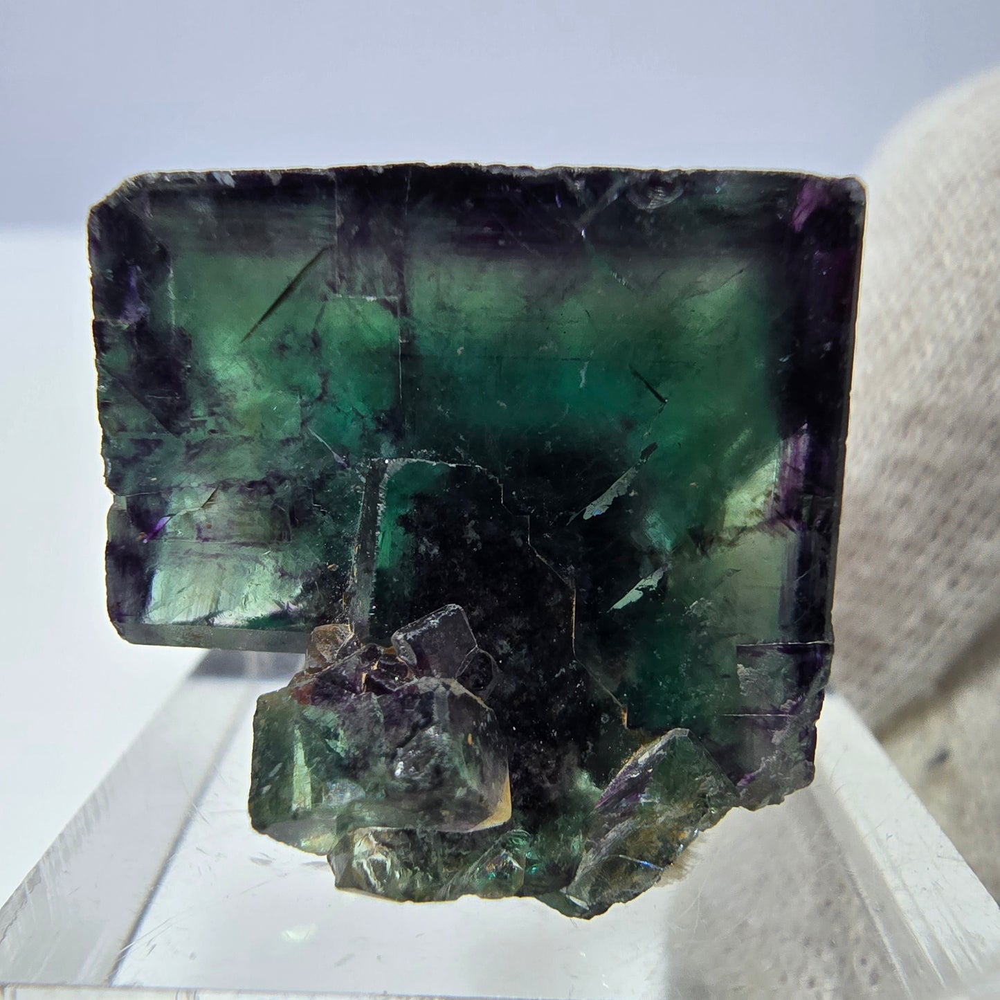 Spécimen rare de cube de fluorite fantôme, vert zonal et violet, Okorusu, Namibie, 29 x 21 x 18 mm 