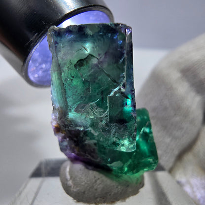 Spécimen de cube de fluorite fantôme parqueté zonal Okorusu, Namibie 34*22*16mm 