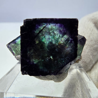 Spécimen rare de cube de fluorite fantôme, vert zonal et violet, Okorusu, Namibie, 28 x 16 x 18 mm 