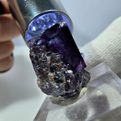 Spécimen de cube de fluorite fantôme zonal, vert violet Okorusu, Namibie 25*20*10 mm 