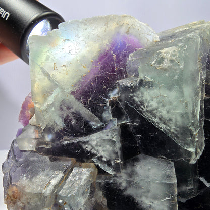 Spécimen de cube de fluorite fantôme XL, parqueté vert violet Okorusu, Namibie 141*130*48 mm 