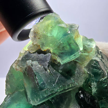 Grand spécimen de cube de fluorite fantôme, vert parqueté Okorusu, Namibie 84*80*40 mm 