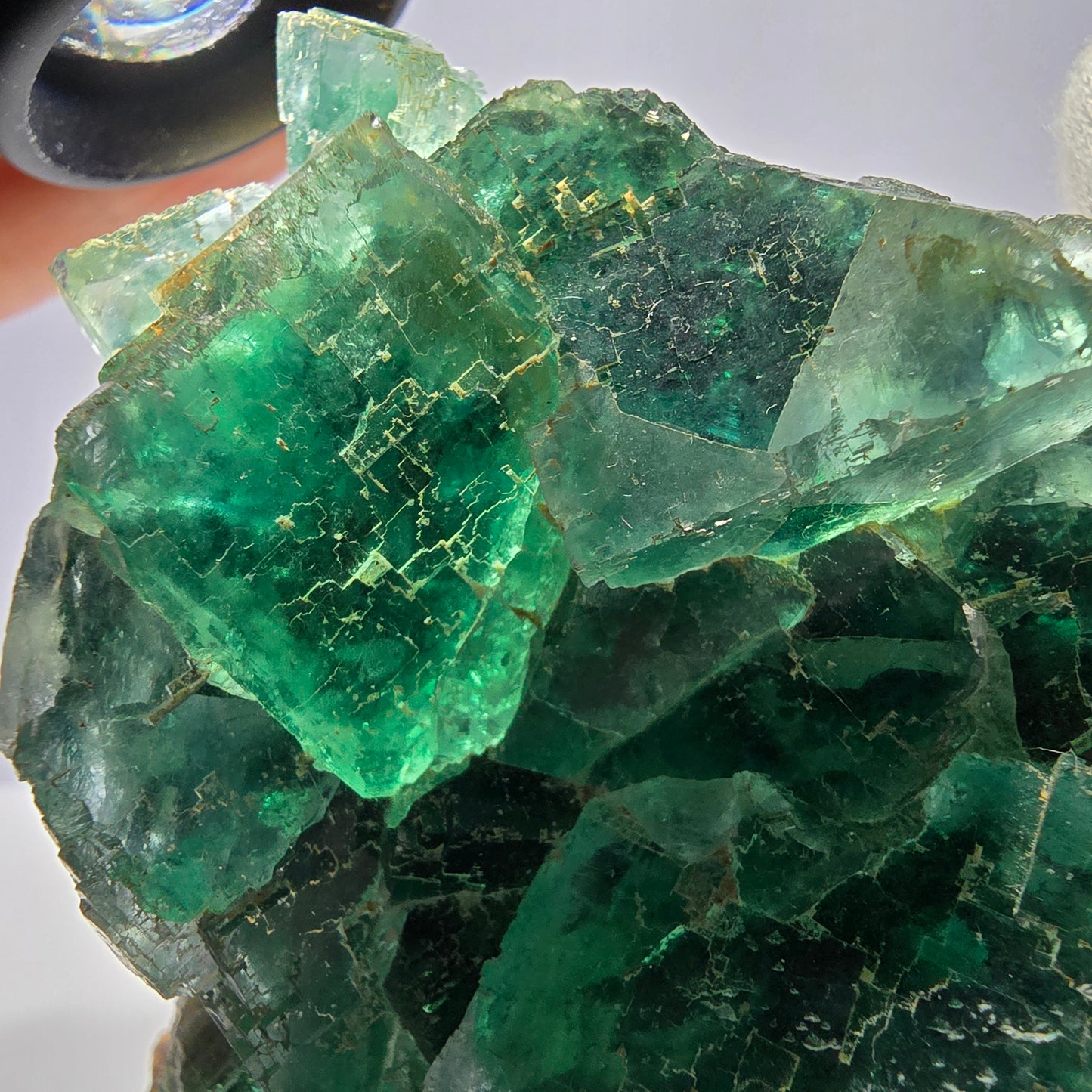 Grand spécimen de cube de fluorite fantôme, vert parqueté Okorusu, Namibie 80*72*49mm 