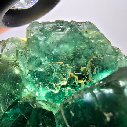 Grand spécimen de cube de fluorite fantôme, vert parqueté Okorusu, Namibie 80*72*49mm 