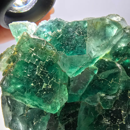 Grand spécimen de cube de fluorite fantôme, vert parqueté Okorusu, Namibie 80*72*49mm 