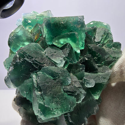 Grand spécimen de cube de fluorite fantôme, vert parqueté Okorusu Namibie 113*95*54mm 