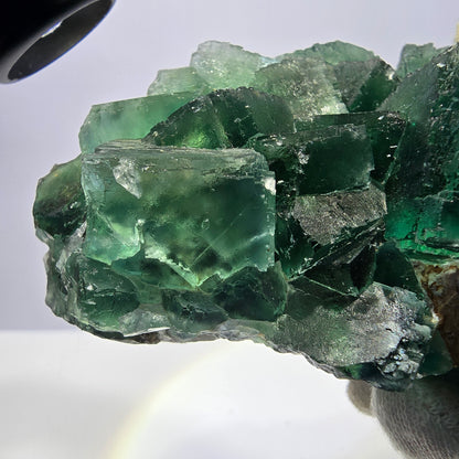 Grand spécimen de cube de fluorite fantôme, vert parqueté Okorusu Namibie 113*95*54mm 