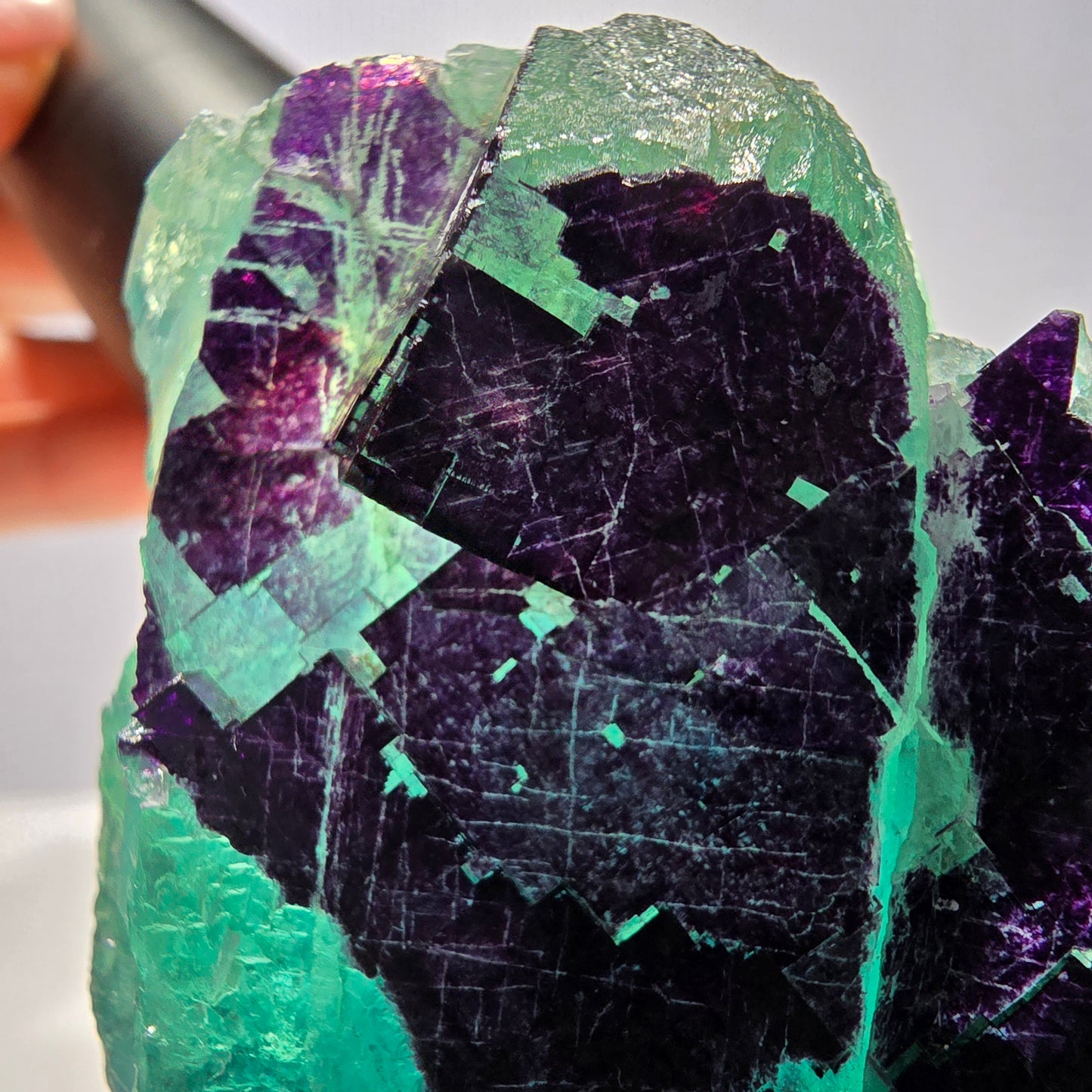 Grand spécimen de cube de fluorite fantôme vert violet zonal 11:11 Angel Pocket, Namibie 103*61*33mm 