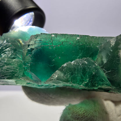 Rare spécimen de cube de fluorite fantôme, parqueté vert Okorusu, Namibie, 77 x 73 x 27 mm 