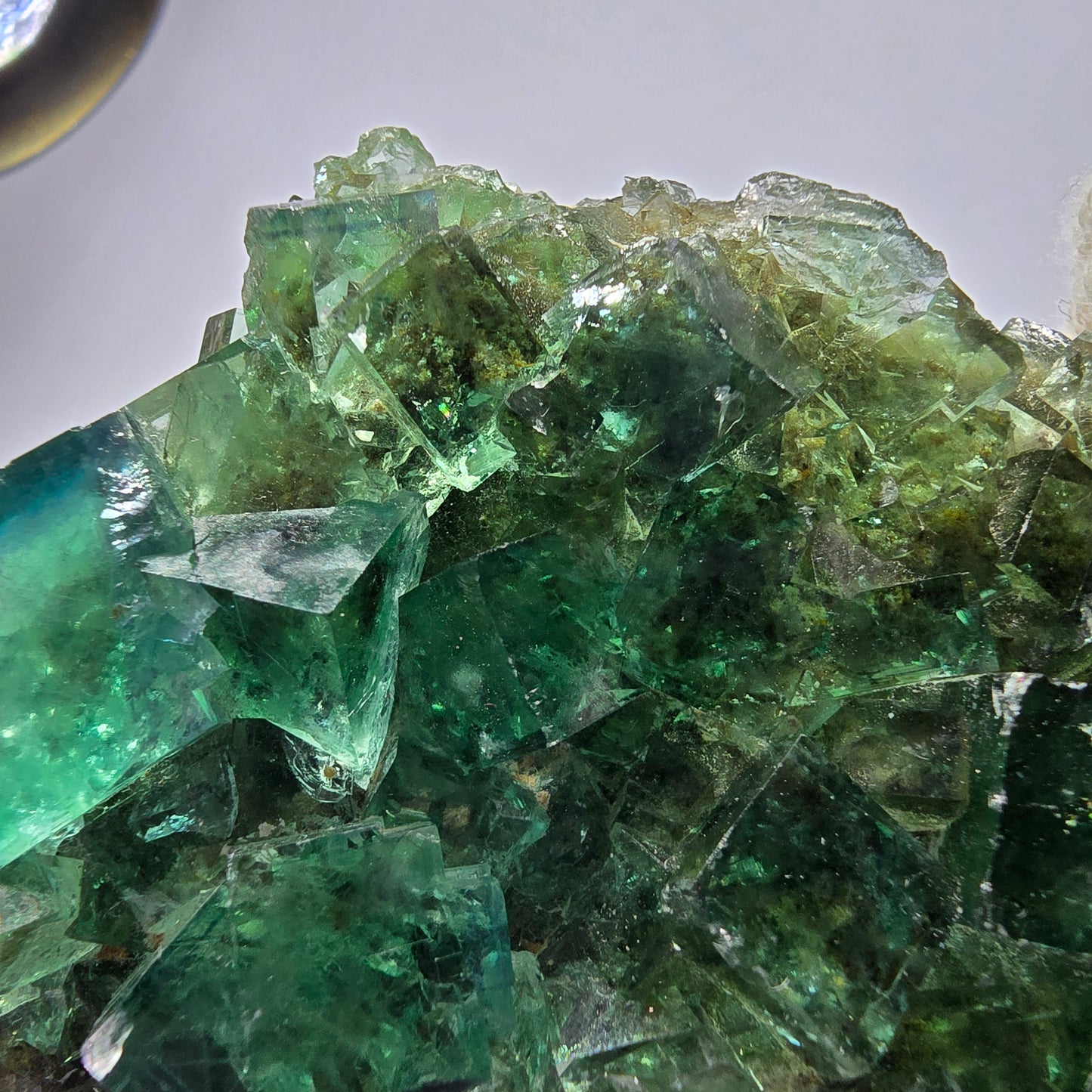 Spécimen de cube de fluorite fantôme transparente, parqueté Okorusu Namibie 95*54*21mm 