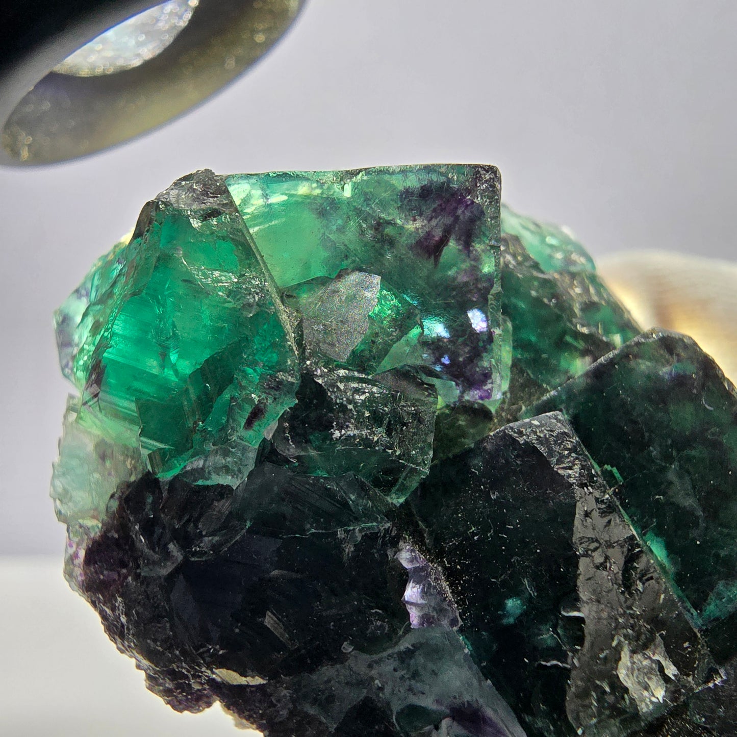 Rare spécimen de cube de fluorite fantôme, parqueté zonal Okorusu Namibie 73 x 44 x 33 mm 