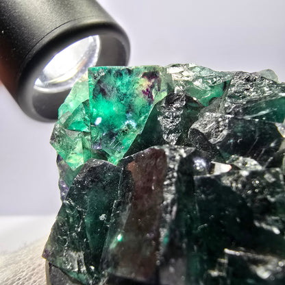 Rare spécimen de cube de fluorite fantôme, parqueté zonal Okorusu Namibie 73 x 44 x 33 mm 