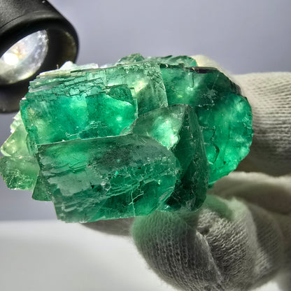 Rare spécimen de cube de fluorite fantôme, parqueté vert Okorusu, Namibie, 74 x 50 x 30 mm 