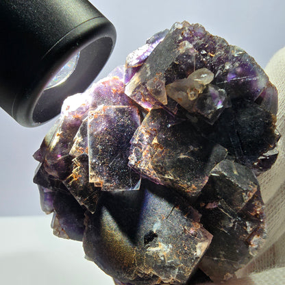 Spécimen de cube de fluorite fantôme, violet, rouge et bleu, Okorusu, Namibie, 91 x 58 x 22 mm 