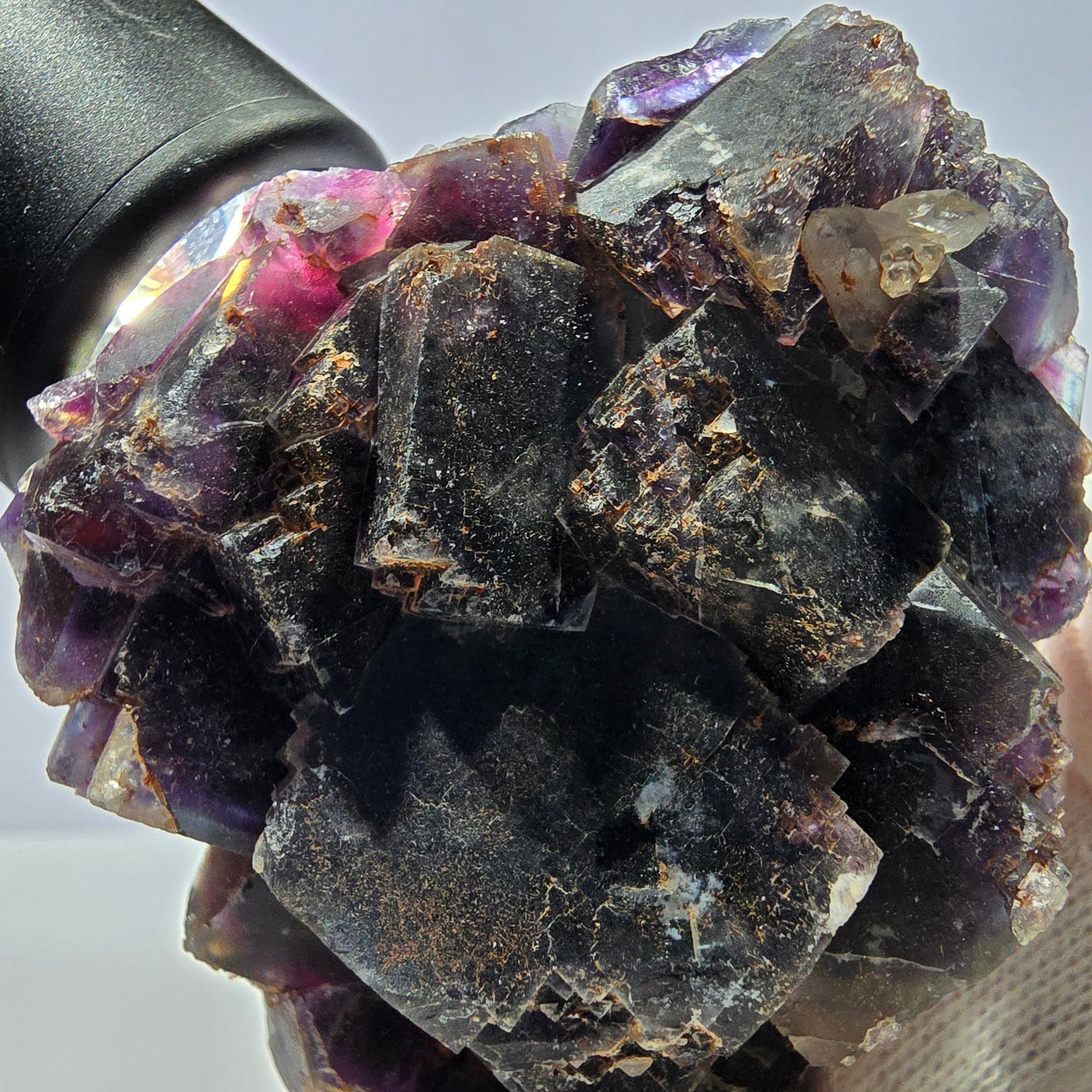 Spécimen de cube de fluorite fantôme, violet, rouge et bleu, Okorusu, Namibie, 91 x 58 x 22 mm 