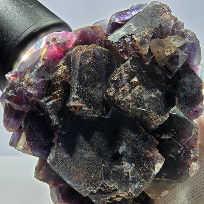 Spécimen de cube de fluorite fantôme, violet, rouge et bleu, Okorusu, Namibie, 91 x 58 x 22 mm 