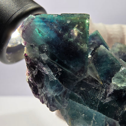 Seltene Phantom Fluorit Würfel Stufe, zonal - Neuer Fund! Okorusu Namibia 67*48*28mm