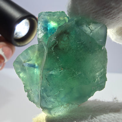 Rare spécimen de cube de fluorite fantôme, parqueté vert Okorusu, Namibie, 48 x 32 x 27 mm 