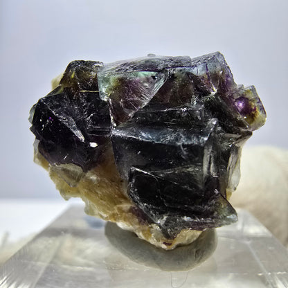 Cubes de fluorite fantôme colorés, spécimen de muscovite, Erongo, Namibie, 23 x 18 x 12 mm 