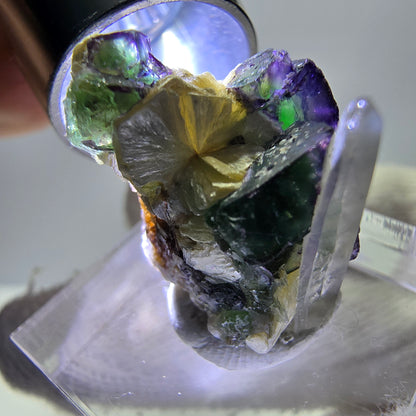 Cubes de fluorite fantôme, muscovite, quartz fumé, hyalite, Erongo, Namibie, 20 x 17 x 16 mm 