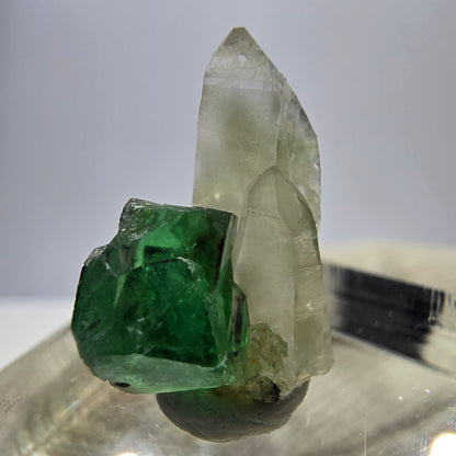 Cube de fluorite fantôme, spécimen de quartz fumé, Erongo, Namibie, 19 x 10 x 12 mm 