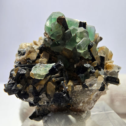 Fluorite fantôme hexagonale, tourmaline Schörl, quartz fumé, hyalite, Erongo, Namibie, 34 x 30 x 31 mm 