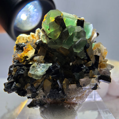 Fluorite fantôme hexagonale, tourmaline Schörl, quartz fumé, hyalite, Erongo, Namibie, 34 x 30 x 31 mm 