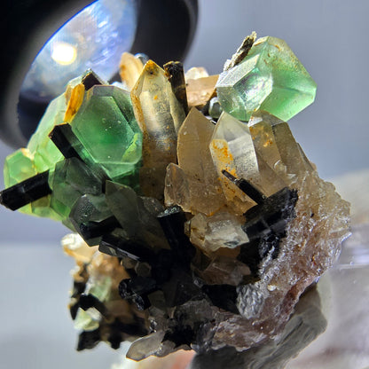 Fluorite fantôme hexagonale, tourmaline Schörl, quartz fumé, hyalite, Erongo, Namibie, 34 x 30 x 31 mm 