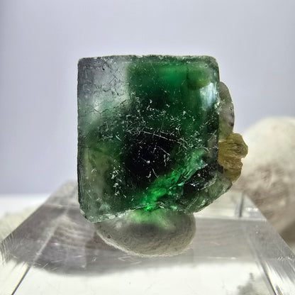 Cube de fluorite fantôme zonal, spécimen de muscovite, Erongo, Namibie, 16 x 15 x 15 mm 