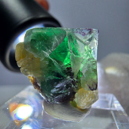 Cube de fluorite fantôme zonal, spécimen de muscovite, Erongo, Namibie, 16 x 15 x 15 mm 