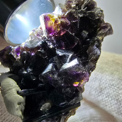 Spécimen de fluorite fantôme colorée, tourmaline scholle, muscovite, Erongo, Namibie, 36 x 28 x 16 mm 