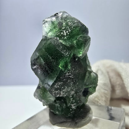 Fluorite fantôme, Tourmaline Schörl, Stade muscovite Erongo, Namibie 35*20*20mm 