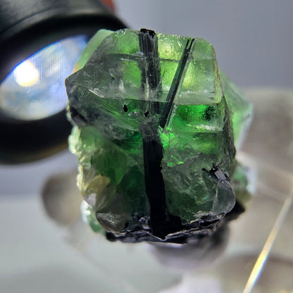 Fluorite fantôme, Tourmaline Schörl, Stade muscovite Erongo, Namibie 35*20*20mm 