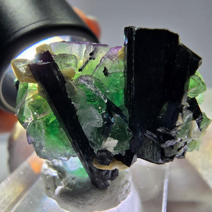 Cube de fluorite fantôme zonal, tourmaline muscovite Schorl Erongo Namibie 36 x 22 x 19 mm 