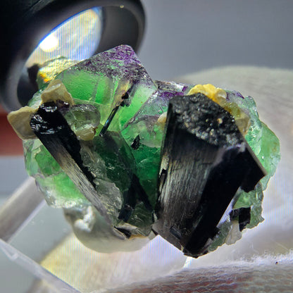 Cube de fluorite fantôme zonal, tourmaline muscovite Schorl Erongo Namibie 36 x 22 x 19 mm 