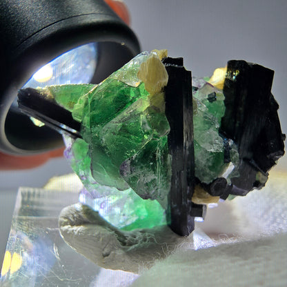 Cube de fluorite fantôme zonal, tourmaline muscovite Schorl Erongo Namibie 36 x 22 x 19 mm 