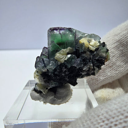 Cube de fluorite fantôme zonal, tourmaline muscovite Schörl Erongo Namibie 31*22*18mm 