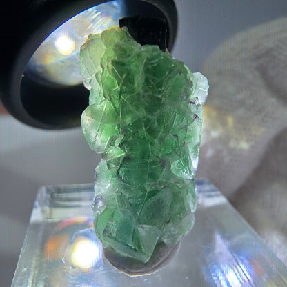 Cube de fluorite fantôme zonal, spécimen de tourmaline Schorl, Erongo, Namibie, 25 x 12 x 12 mm 