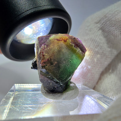Cubes de fluorite fantôme colorés, spécimen de tourmaline Schorl, Erongo, Namibie, 17 x 16 x 13 mm 
